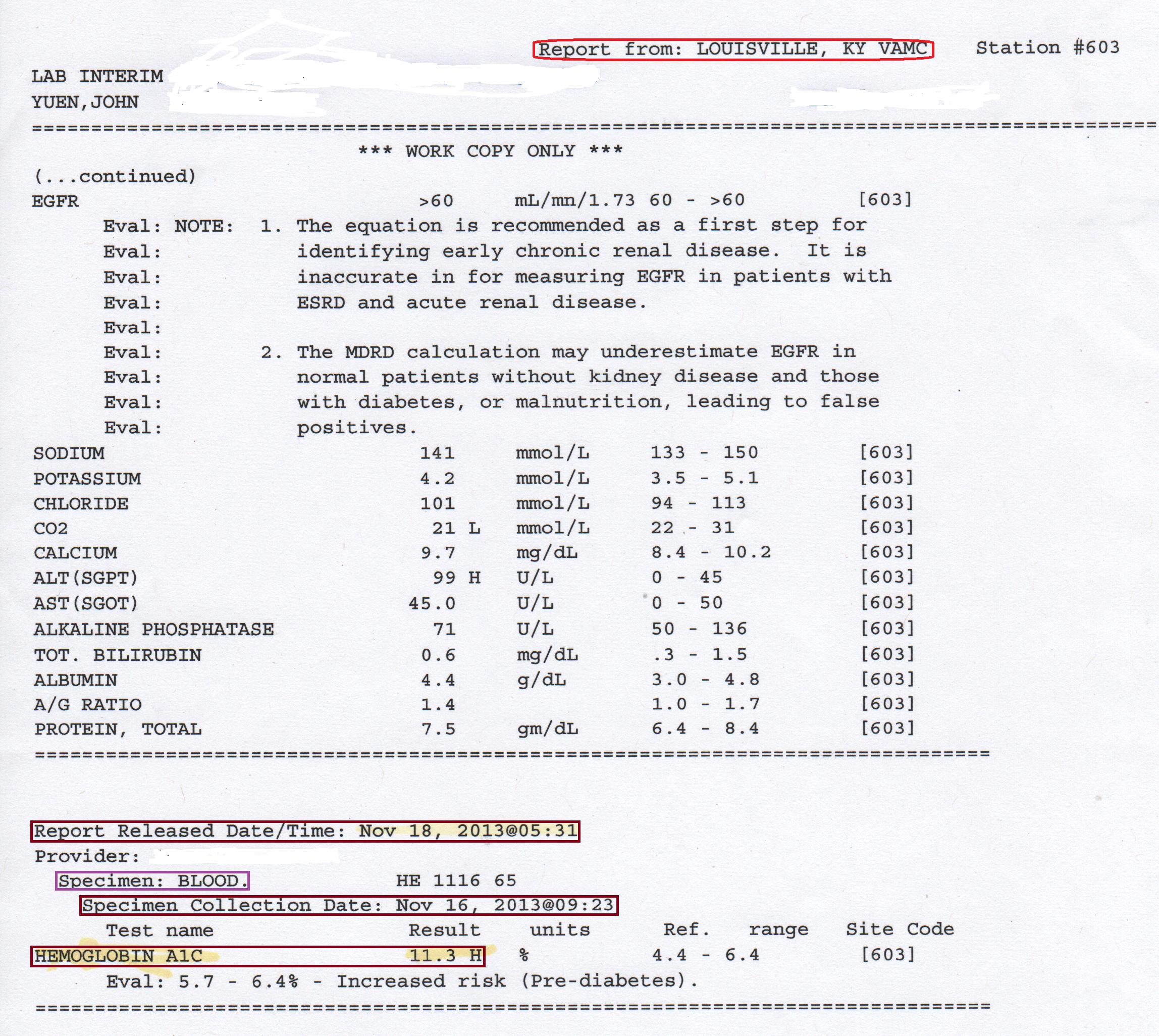 BloodTest2013